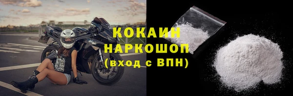 крисы Кодинск