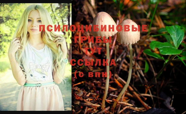 эйфоретик Киренск