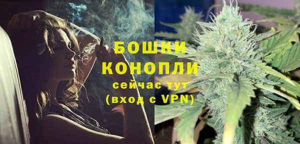 молекула духа Козловка