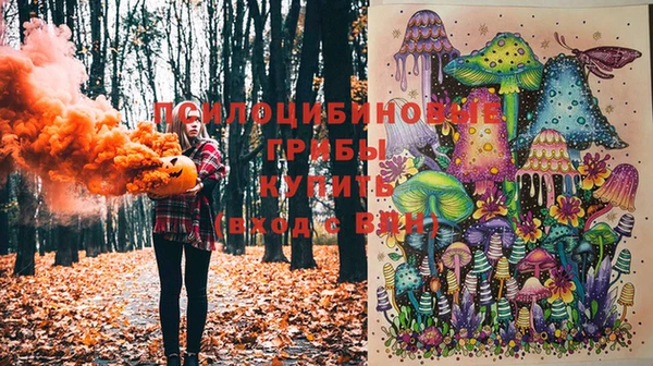 крисы Кодинск