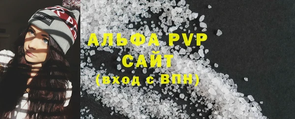 молекула духа Козловка