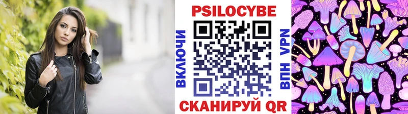 Купить где  Усмань  Псилоцибиновые грибы Cubensis 